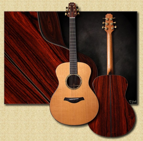 R_Taylor_Style_2_Cocobolo_guitar.jpg